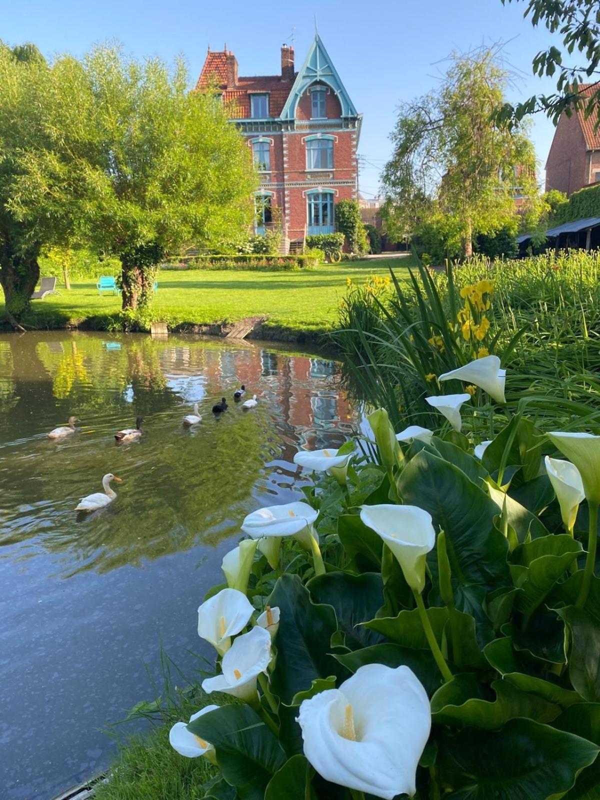 Villa Marguerite - Chambres D'Hotes Saint-Omer  Bagian luar foto